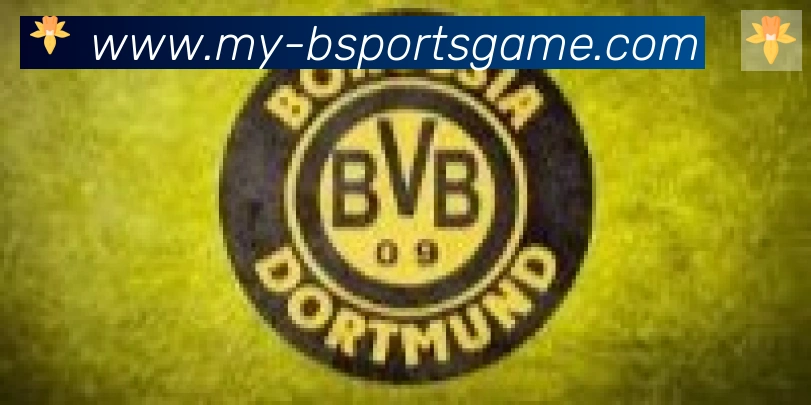 Bsports官网合作伙伴